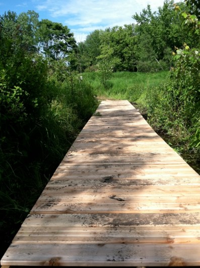 Board walk 1 6-14-13