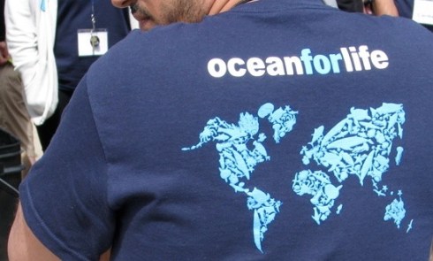 Ocean Shirt cropped
